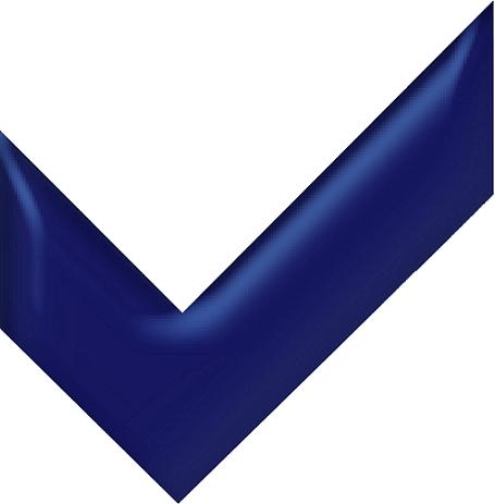 Bullet
