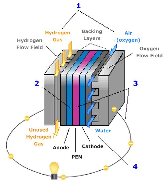 Fuel Cell