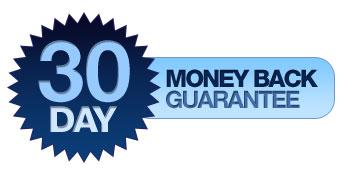 Automotive Performance Chips Guarantee